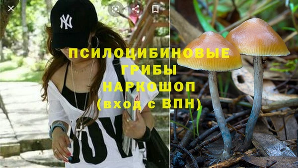 прущий лед Елабуга