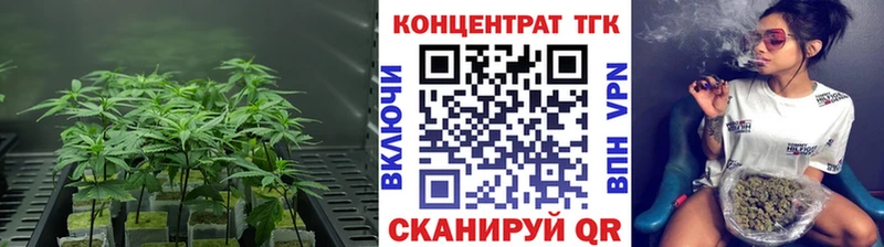 Купить закладки  Краснослободск  ТГК жижа 