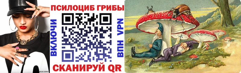 Галлюциногенные грибы прущие грибы  Купить  Краснослободск 